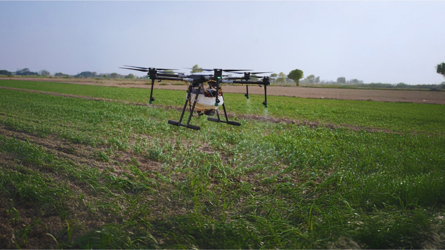 Why are Drones Emerging as Better Alternatives for Spraying?