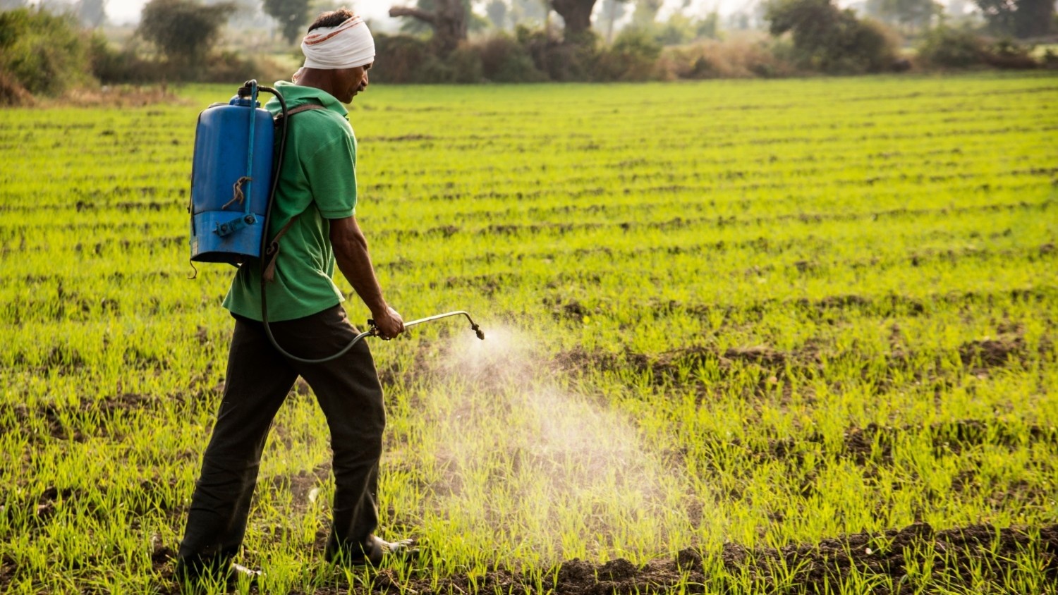 How is Spraying Done Currently in India?