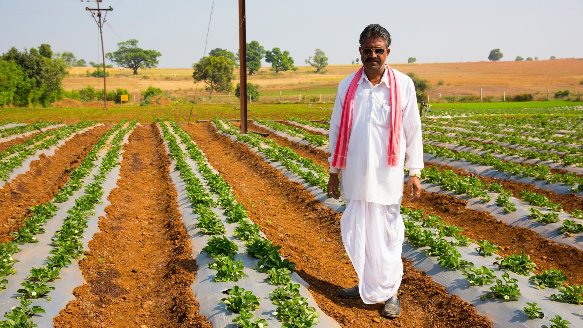 Benefits of Farm Management