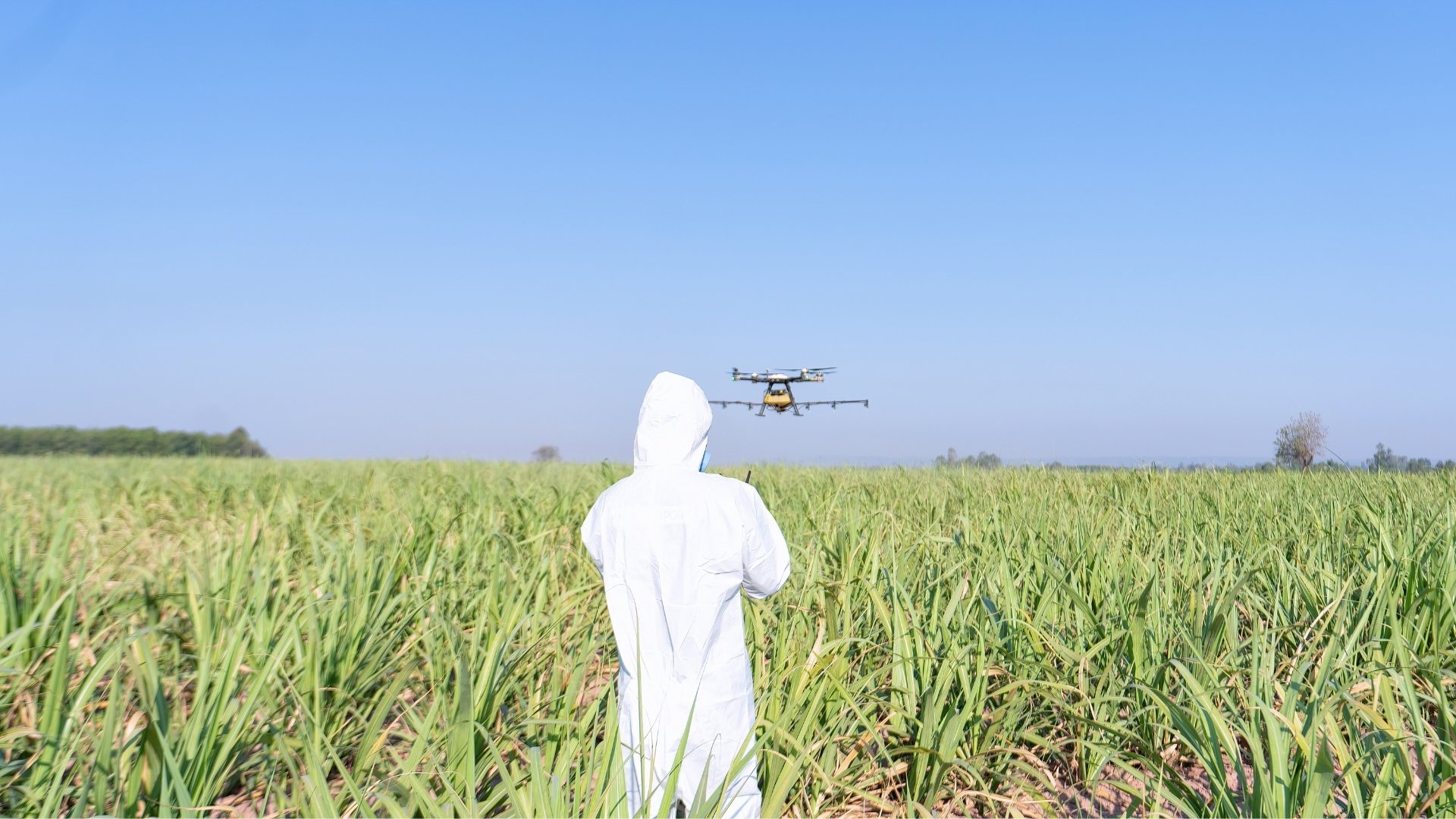 How the Namo Drone Didi Scheme Works